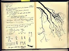 art, sketchbook, sketch, techniques, drawing, writing