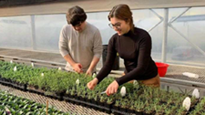students working with plants