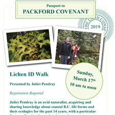 walk, nature, lichen