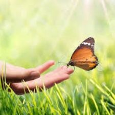Transformation; freedom, self-growth; self-development; personal-development;; empowerment;