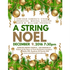 Music, violin, concert, string orchestra