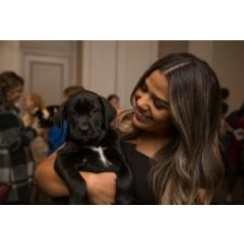 Offleashed, Gala, Puppy, Cuddle, BC SPCA 