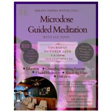Microdose guided meditation, breathwork, grounding, health and wellness