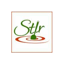 cooking, nutrition, meals, health, kitchen, food, bowls, culinary, Buddha bowls 