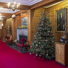 Christmas, holidays, carolling 