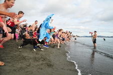 Polar  Bear Swim