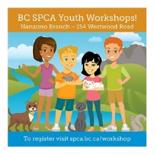 kids, animals, BC SPCA, winter, camp, workshop, holiday, dogs, cats, small animals, games, career