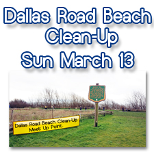 beach, clean, Dallas, Road, Victoria, BC, Sunday, March, 13, fun, event