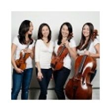 violin, viola, cello, classical music, classical, music 