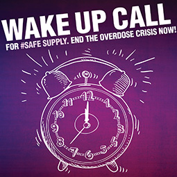 Overdose Crisis, harm reduction