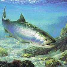 art, salmon, dinner, fundraiser, Nanaimo, charity, benefit