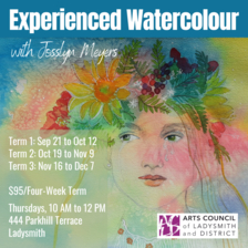 watercolour, adult art classes, week day art classes, south island, ladysmith
