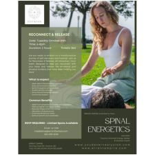 Spinal Energetics event poster