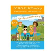 kids, animals, prod, pro, d, workshop, youth, school, holiday, fun, games, spca, bcspca