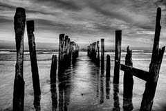 photography, beginner