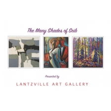 Regina Seib, LAG, Art Gallery, Many Shades of Seib