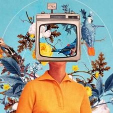 art, art classes, art courses, art school, collage, digital collage