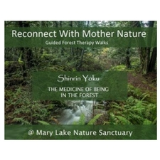 Mary Lake, Nature Therapy, Forest walk