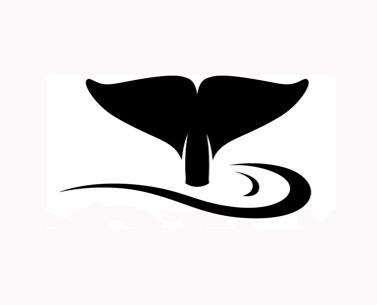 art, Cetus, whale, killer whale, fundraiser