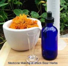 Herbal Medicine, Herb Garden, Herbal Studies, Herbal First Aid