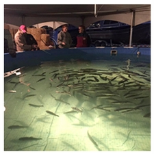 fishing, fishing pond, Island Outfitters, boat, boating