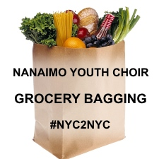 groceries, bag, food, shopping, choir, fundraiser, grocery