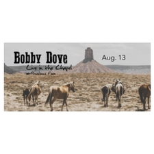folk, roots, bluegrass, country, singer-songwriter