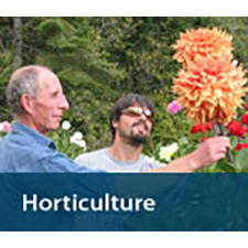 Horticulture at VIU, gardening, training, get skilled get work