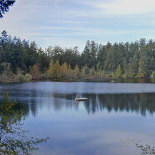 maltby lake