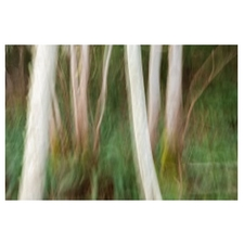 Photography, workshops