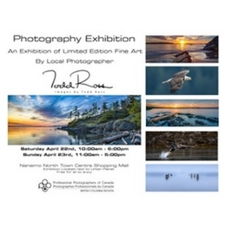 Photography, Art, Exhibition, Landscape, Seascape, Wildlife, Eagle