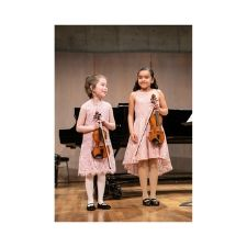 strings, violin, cello, viola, concert, gvpaf