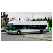 free, seniors, community, learning, bus, multicultural, LGBT, fun, ride