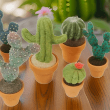 felting, pub, events, crafts, art, lost arts club, cactus, nanaimo