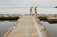 climate change, climate adaptation, sustainability, webinar, environment