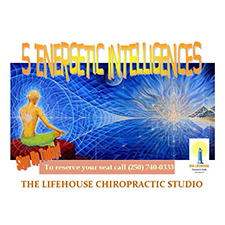 energetic, intelligences, workshop, wisdom, growth, evolution, chiropractic, spine, align, wellness, wellbeing, health