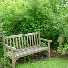 garden, gardening, tour, native plants