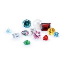 Show, gems, fossils, fun
