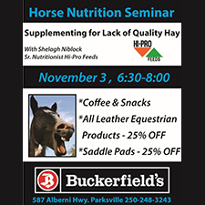 Horse, feed, hay, nutrition