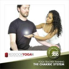 Red Door Yoga, Kavita Maharaj, Yoga, Yoga Postures, Yoga Classes, Yoga Teacher Training, Yoga Practice, Fitness, BCRPA, Yoga Alliance, CEC, Nationally Recognized, Chakra, Chakric System, nervous system, endocrine system, holistic health. 