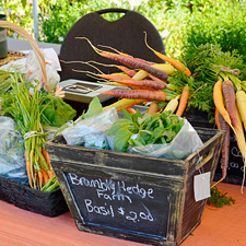 farms, food, North Saanich, flavour trail