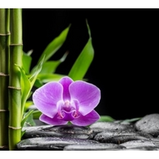 #selfcare #Health&Wellness #yyjevent #workshop #retreat #worklifebalance