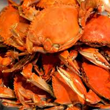 Music, Crab, Family Event, Beer Garden