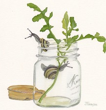 mason jar, thrive, gage, thomson,