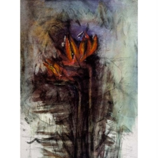 art, drawing, collage, watercolour, botanical, plants, floral, composition