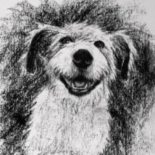 drawing, art, art class, art workshop, vancouver island