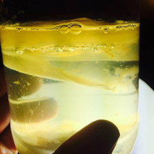 Home Fermenting, sauerkraut, kombucha, wine vinegar, shrubs, scoby, diy fermented beverages, fermented soda, fermented vegetables, kimchi, red sauerkraut