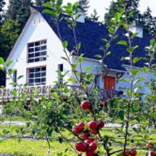 sea cider, cider, wine, winery, open house
