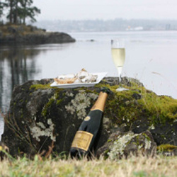 event, feast, summer, dinner, culinary, food, drinks, couple, September, deck, restaurant