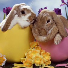 Easter Bunny, Easter Events, kids, children, Free, Nanaimo, Art Classes